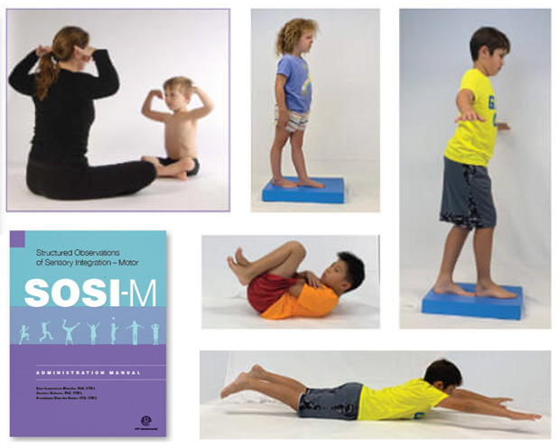 Formations de perfectionnement en Intégration Sensorielle - Ergo Senso